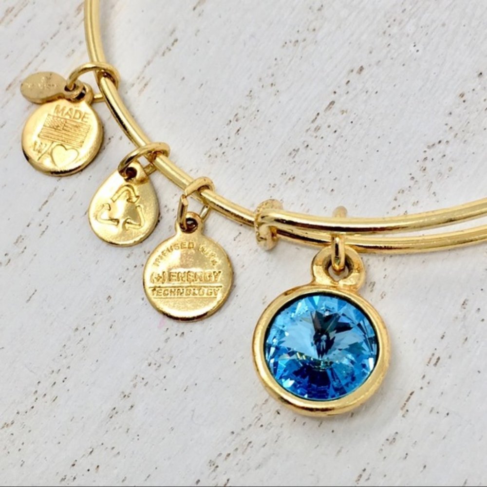 ALEX & ANI December Birthstone Charm Bangle